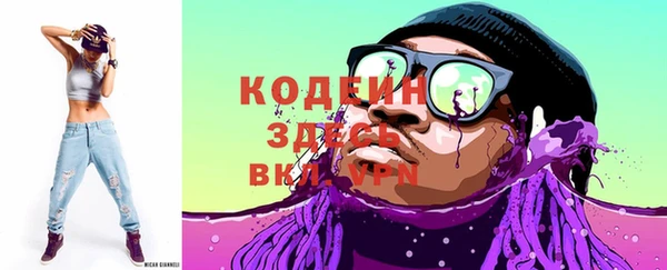 индика Бугульма