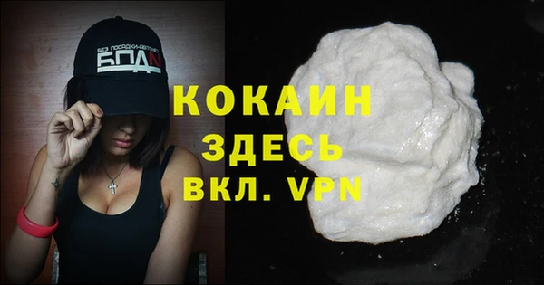 прущий лед Вяземский