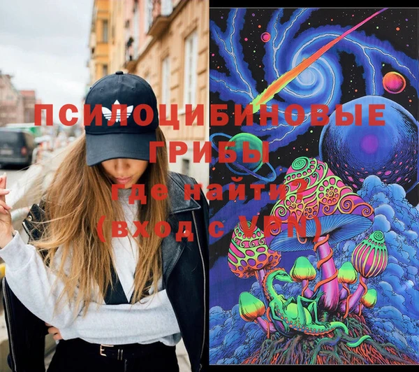 амф Бронницы