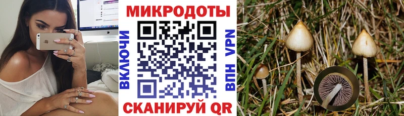 Псилоцибиновые грибы GOLDEN TEACHER  omg зеркало  Жирновск 